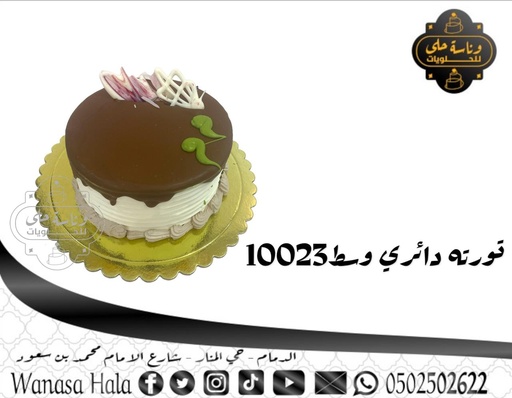 [1010-10023] كيك عيد الحب وسط35